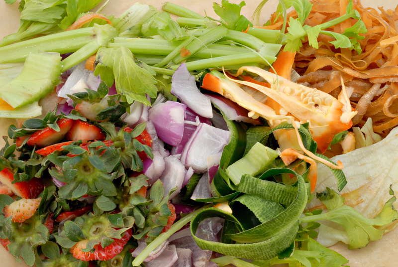 Champion Green Initiatives: School Recycling Hacks